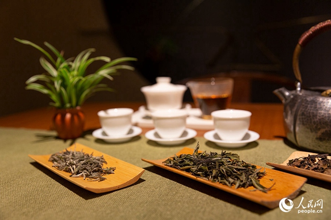走出大山的福建茶葉。人民網(wǎng) 焦艷攝