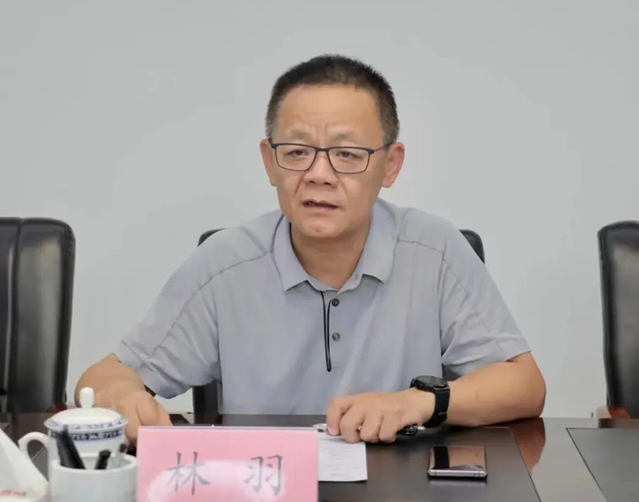林羽。資料圖