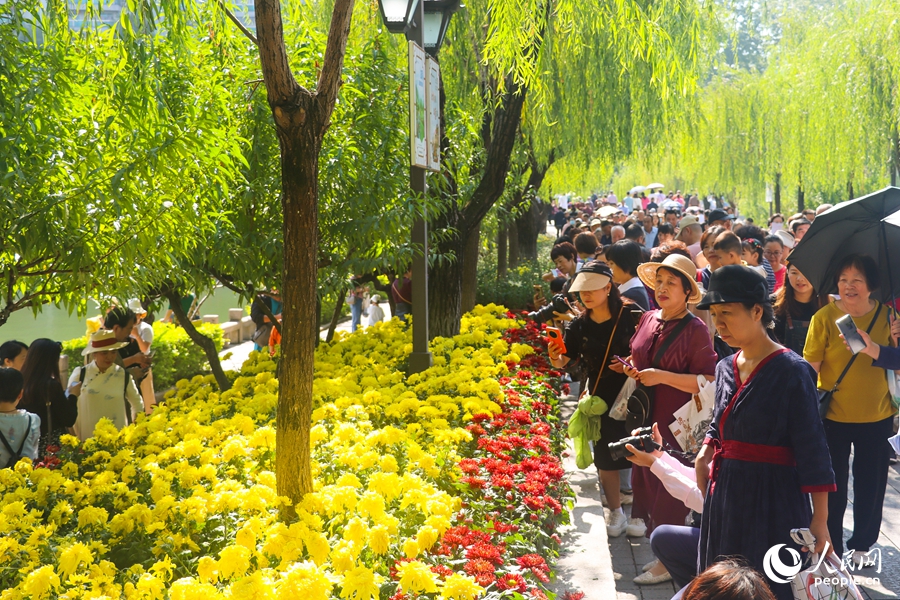 福州西湖金秋菊花展吸引市民及游客踏秋賞菊。人民網(wǎng)記者 林曉麗 攝