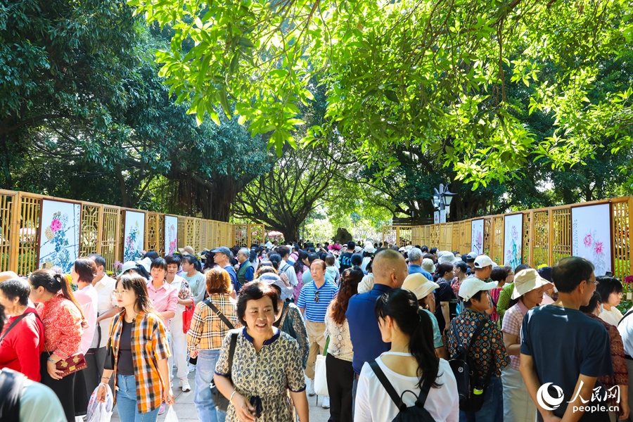 福州西湖金秋菊花展吸引市民及游客踏秋賞菊。人民網(wǎng)記者 焦艷攝