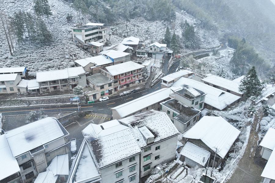 南平建陽區(qū)黃坑鎮(zhèn)坳頭村大雪紛飛。吳大灼 攝