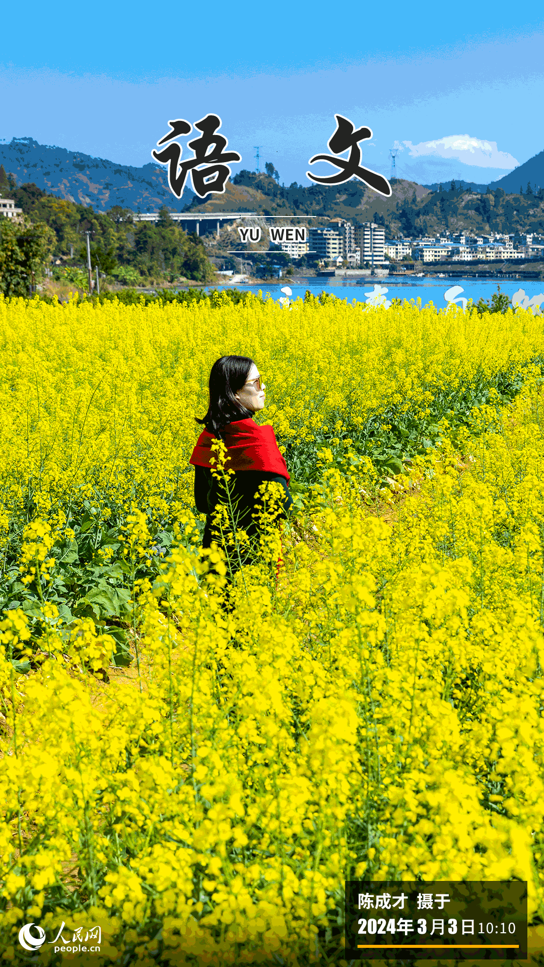 進(jìn)入三月，福州市永泰縣赤錫鄉(xiāng)的油菜花田迎春綻放，金黃的花海洋溢著醉人的春意，美不勝收，吸引不少游客踏青賞花。
