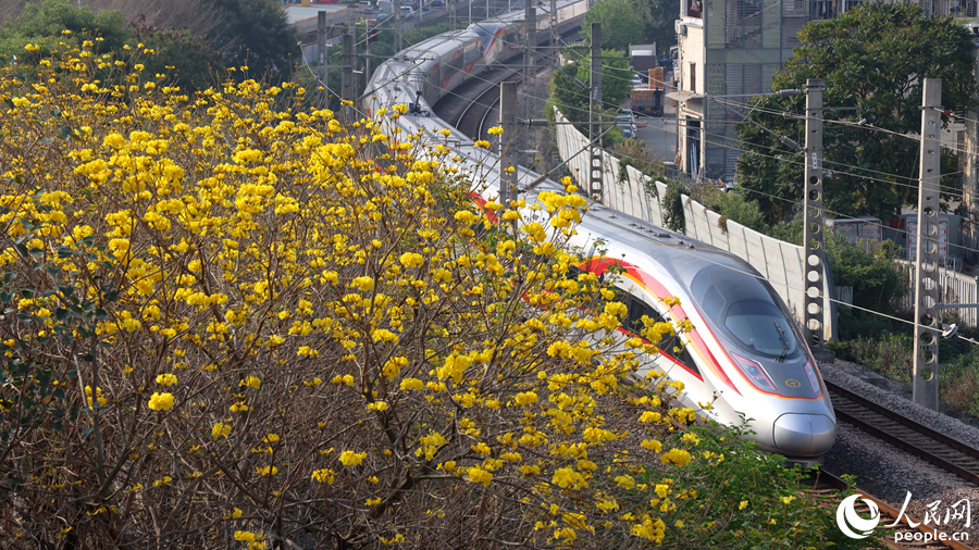 開(kāi)往春天的列車。人民網(wǎng)記者 陳博攝