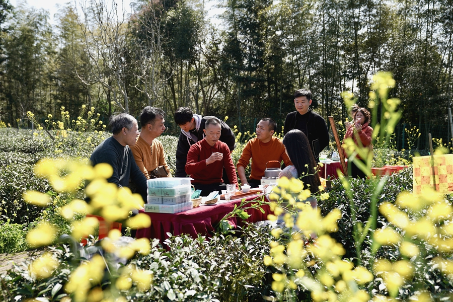 茶園里，人們圍桌而坐品鑒小白茶。吳大灼攝
