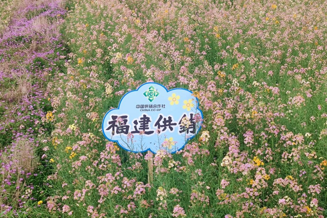 供銷打卡點(diǎn)。