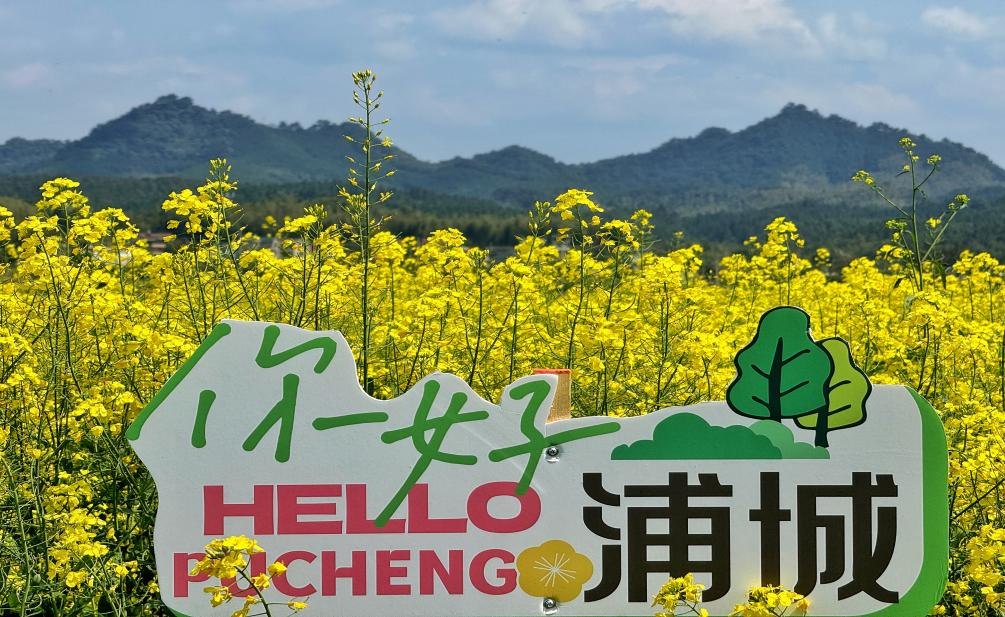 游客打卡點(diǎn)。