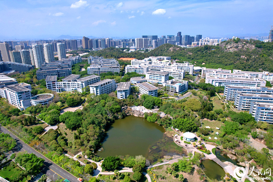 位于廈門市思明區(qū)的軟件園二期草木蔥蘢、綠意盎然，為鳥類提供了舒適的生活環(huán)境。人民網(wǎng)記者 陳博攝