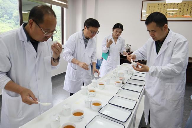 尤溪縣第十六屆茶葉鑒評(píng)會(huì)上，評(píng)委們正在品評(píng)茶樣。