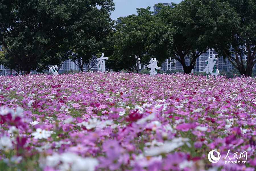 “心有繁花，一路芳華”。人民網(wǎng)記者 蘭志飛攝