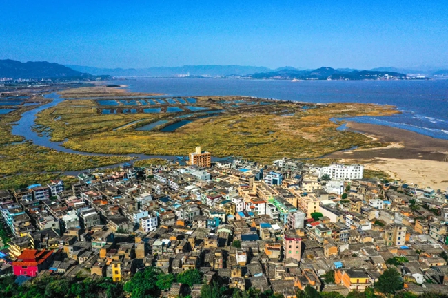 梅花鎮(zhèn)。