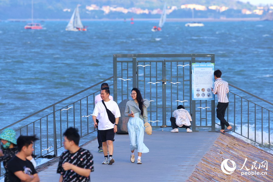 思明區(qū)為燕鷗設(shè)立的臨時(shí)保護(hù)區(qū)。人民網(wǎng)記者 陳博攝