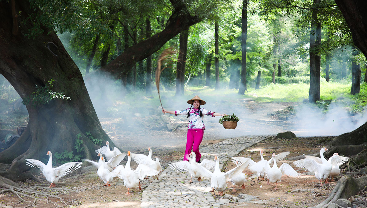 隨著寧德市霞浦縣牙城鎮(zhèn)渡頭村旅游日漸興旺，當(dāng)?shù)卮迕穸籍?dāng)起了攝影模特