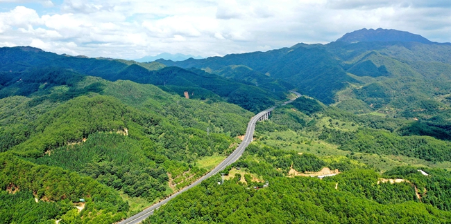 上杭白砂國有林場。郭亦斌攝