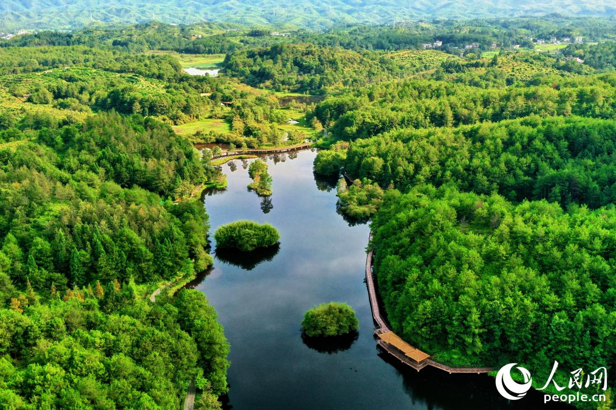 汀江國(guó)家濕地公園。人民網(wǎng) 李唯一攝