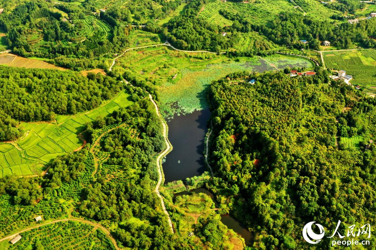 濕地公園的生物多樣性豐富。人民網(wǎng) 李唯一攝