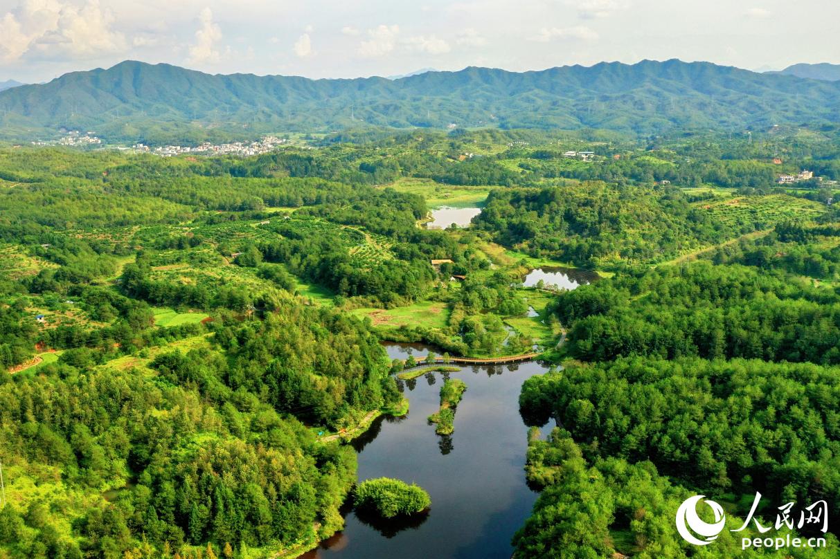 汀江國(guó)家濕地公園總面積590.9平方公里，是我國(guó)唯一的河岸濕地。人民網(wǎng) 李唯一攝
