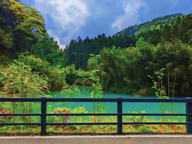 漫步綠道，欣賞美景。