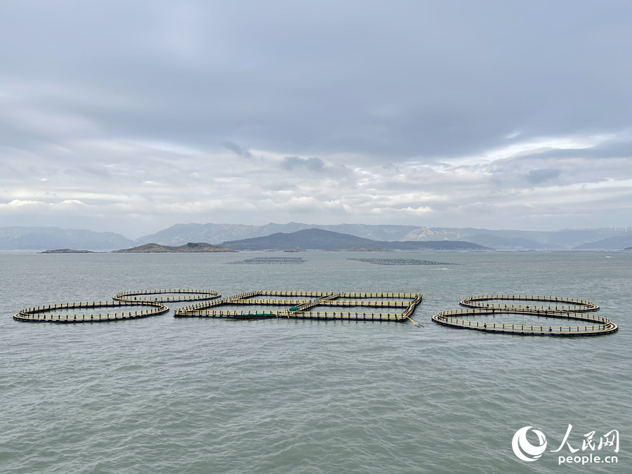 福建福州定海灣水域成片漁排。人民網(wǎng) 謝星宇攝