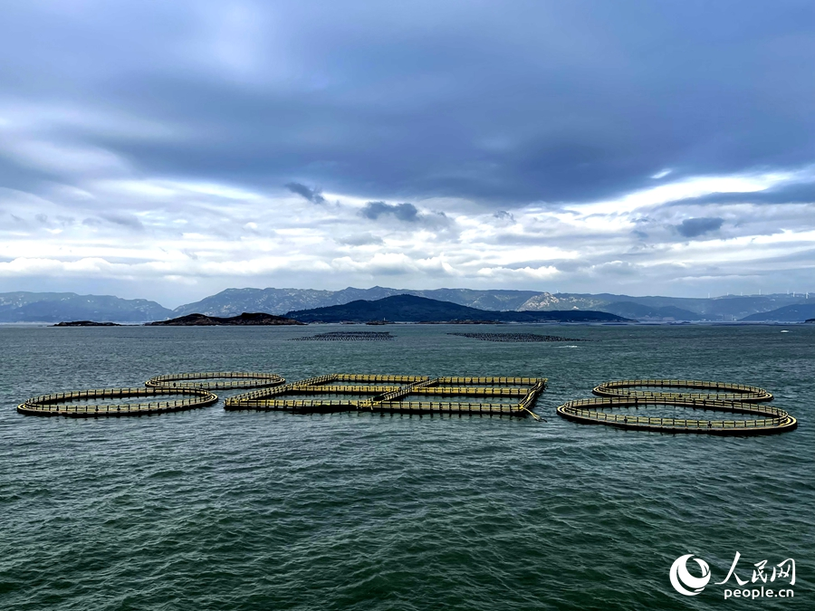 位于福州定海灣水域的成片漁排。人民網 謝星宇攝