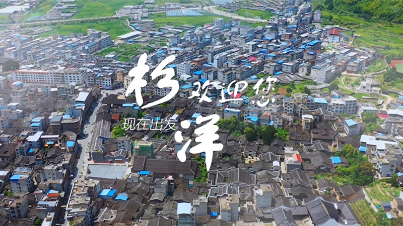 寧德古田：千年古鎮(zhèn) 文武杉洋