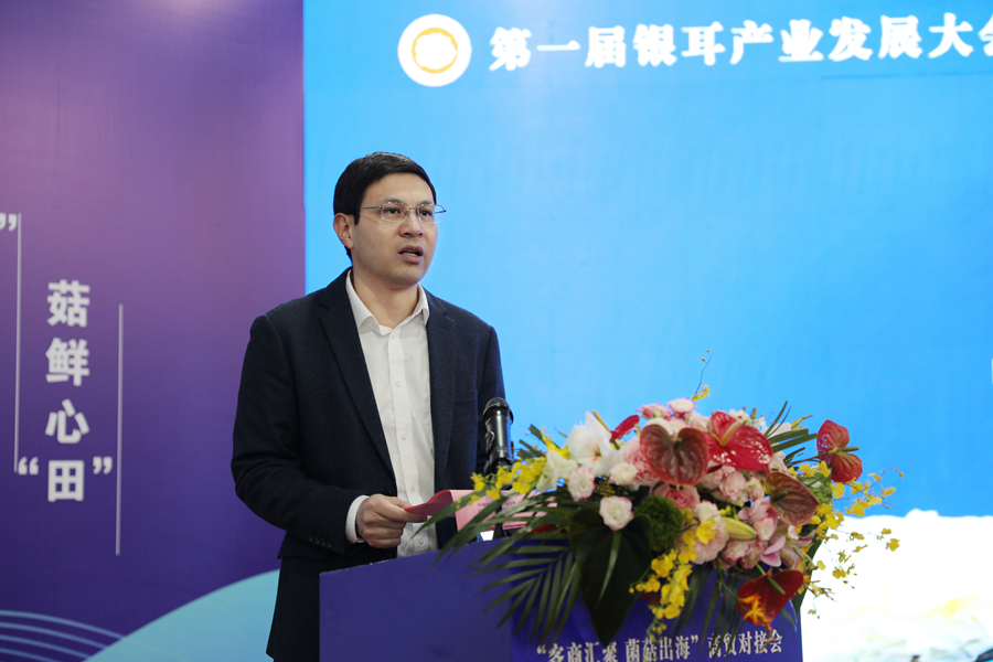 古田縣縣長(zhǎng)許鋒致辭。古田縣融媒體中心供圖