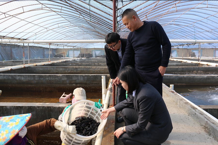 養(yǎng)殖戶吳壽藝向農行客戶經理介紹新購買魚苗情況。黃瑞金攝