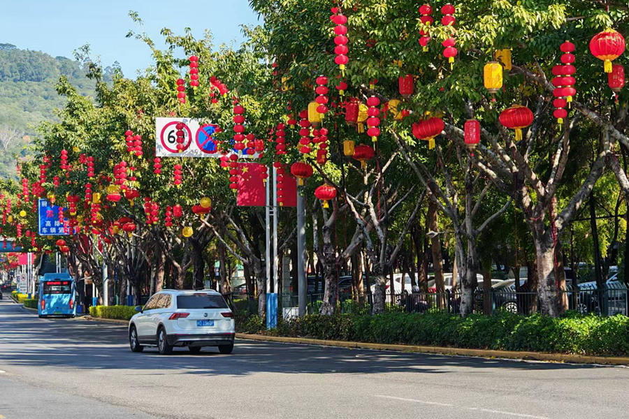 廈門濱湖路燈籠掛滿樹。陳志強(qiáng)攝