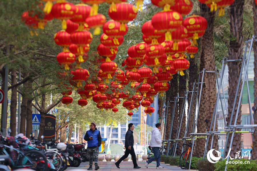 在廈門會(huì)展中心附近，市民在成片燈籠下穿行。人民網(wǎng)記者 陳博攝