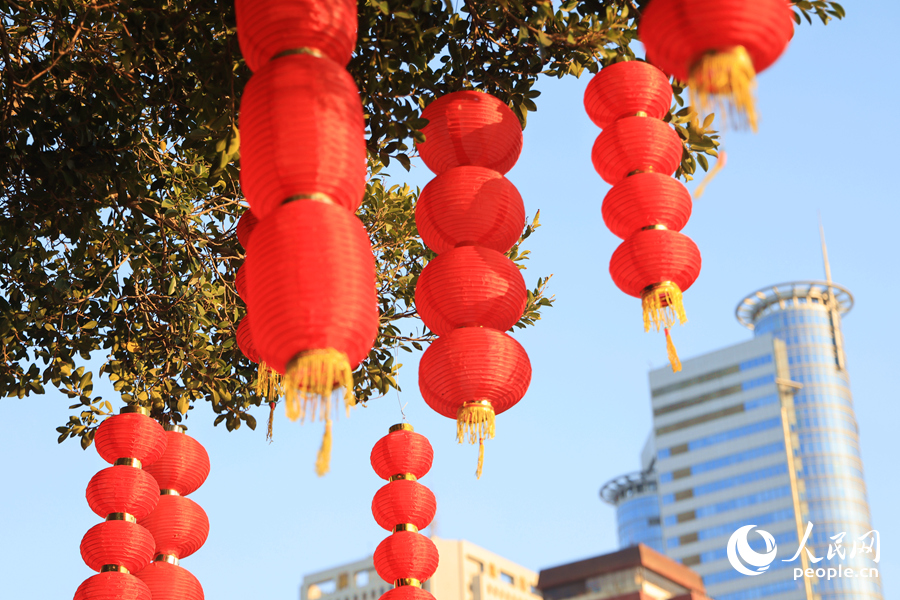 陽光下的燈籠紅彤彤。人民網(wǎng)記者 陳博攝