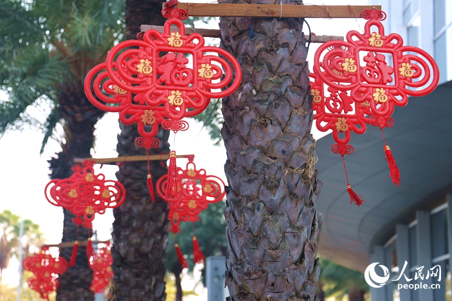 杏林灣路幸福中國結(jié)。人民網(wǎng)記者 陳博攝