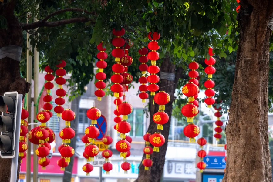 樹梢上掛著紅燈籠