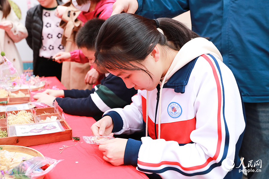 中藥材不但能治病養(yǎng)生，還能用來DIY書簽。人民網(wǎng) 陳永整攝