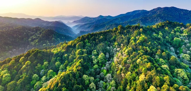 汀江源國家級自然保護(hù)區(qū)
