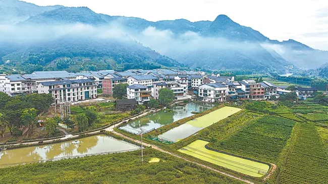 赤溪村。林熙攝