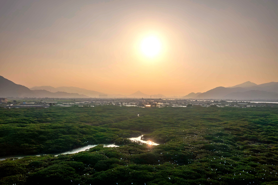 漳江口紅樹林國家級自然保護區(qū)是福建省首個國際重要濕地，位于云霄縣漳江入?？?。這里有我國北回歸線北側(cè)種類最多、生長最好的紅樹林天然群落。方維攝