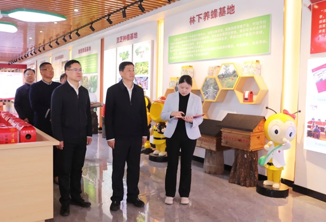 調(diào)研現(xiàn)場。龍巖市融媒體中心供圖