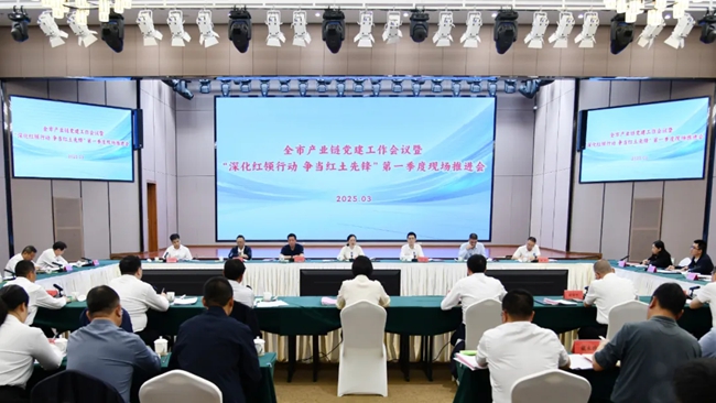 會議現(xiàn)場。武平縣委組織部供圖