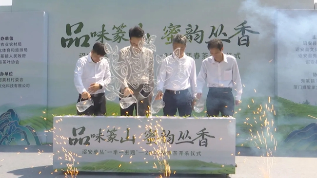 詔安縣委副書記張宸琿、副縣長(zhǎng)楊俊乾與秀篆鎮(zhèn)、縣茶葉協(xié)會(huì)負(fù)責(zé)人共同完成“水潤(rùn)茶苗”澆筑儀式