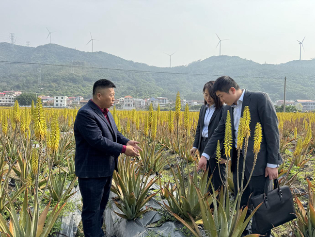 工作人員深入種植園了解企業(yè)需求。農(nóng)行莆田荔城支行供圖