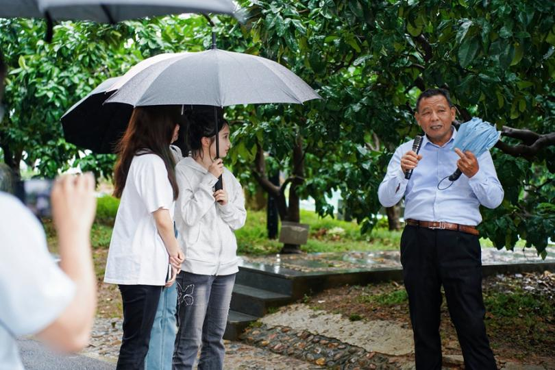 主播們走進(jìn)蜜柚林。主辦方供圖