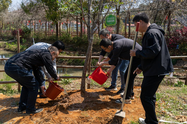三方共同栽下象征友誼的樹木