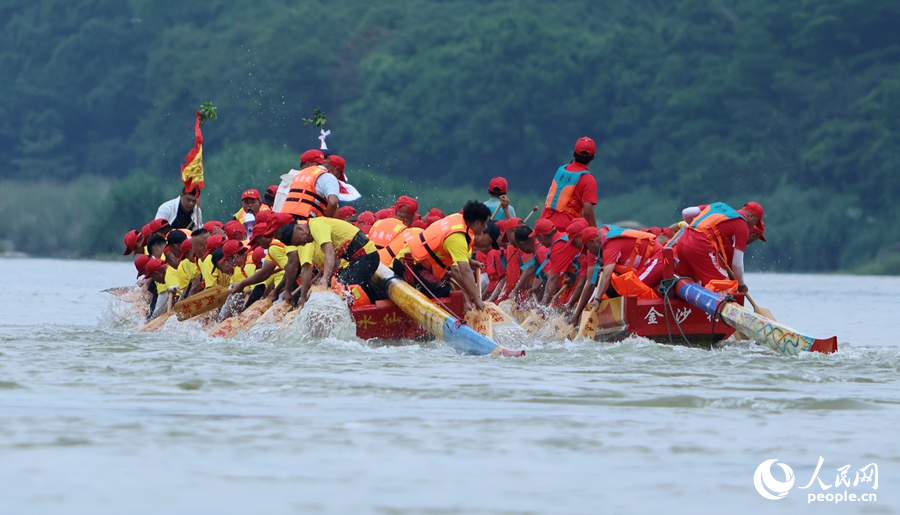 龍舟競逐，水花四濺。人民網(wǎng) 李昌乾攝