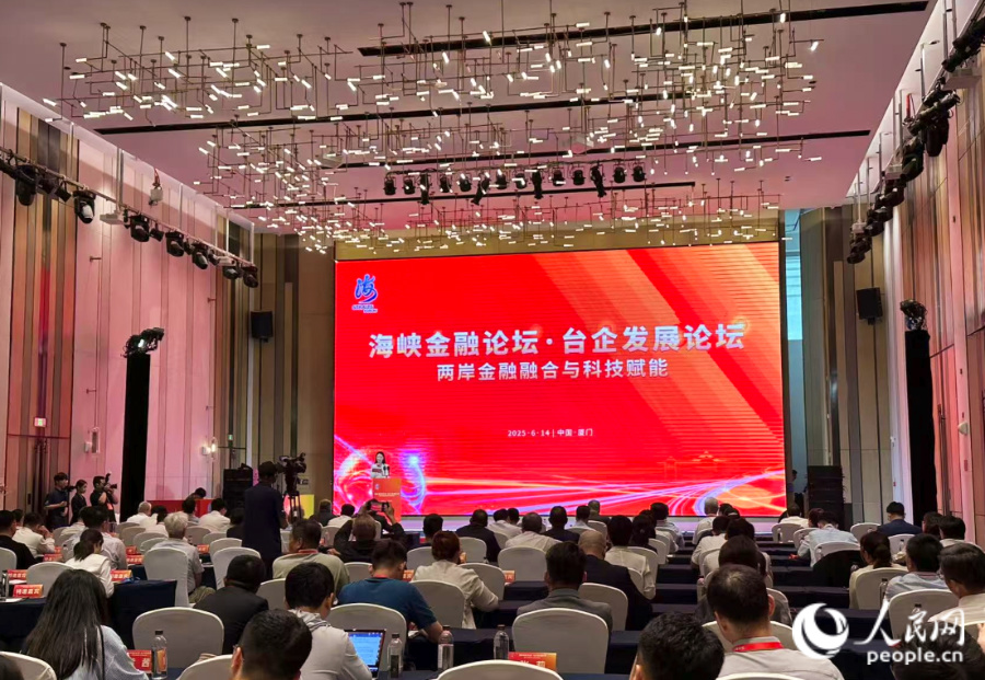 論壇現(xiàn)場。人民網(wǎng)記者 張萌攝