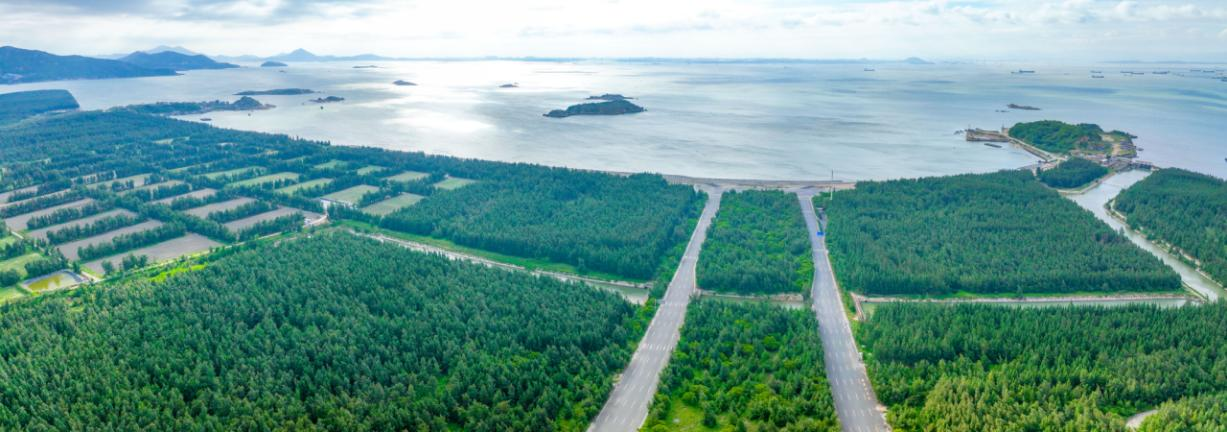 平潭幸福洋吹沙地沿海防護(hù)林