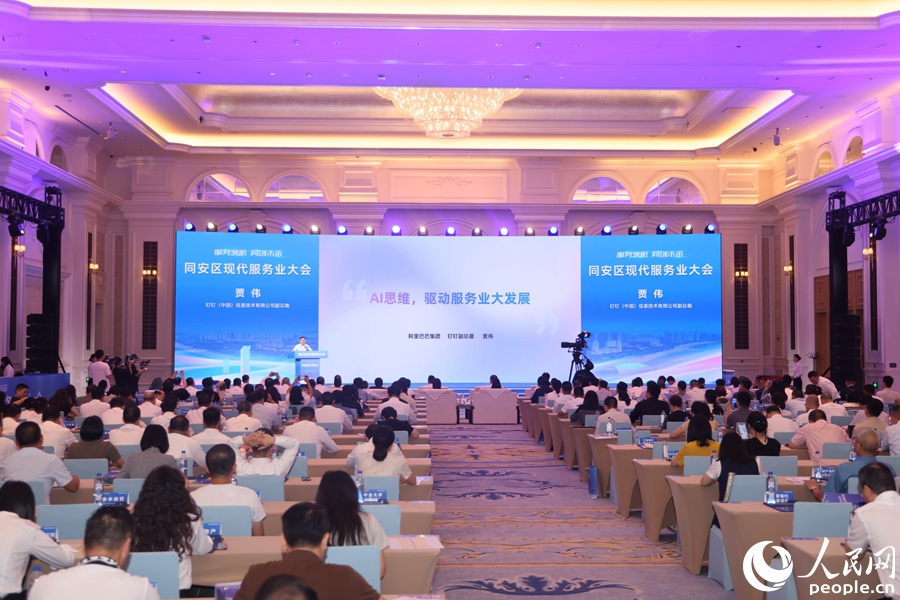 專家主題分享。人民網記者 陳博攝