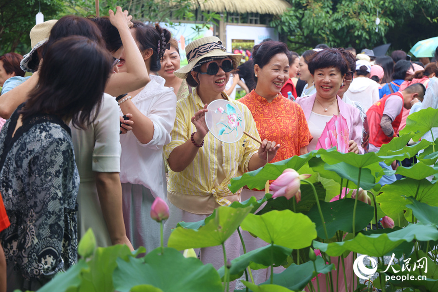 盛開的蓮花深受市民游客青睞。人民網(wǎng)記者 陳博攝