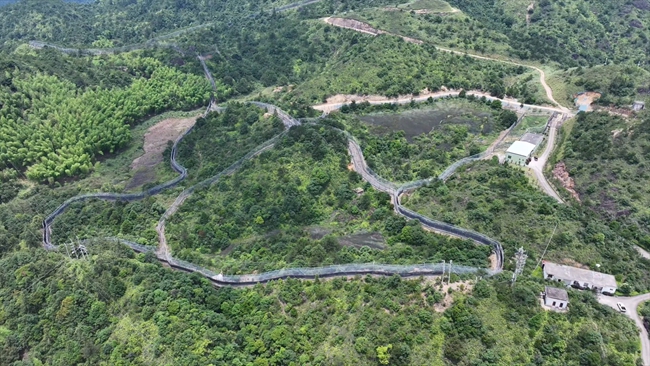 梅花山華南虎繁育野化訓(xùn)練基地