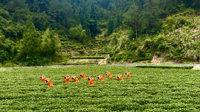 實(shí)景沉浸式的環(huán)境舞蹈