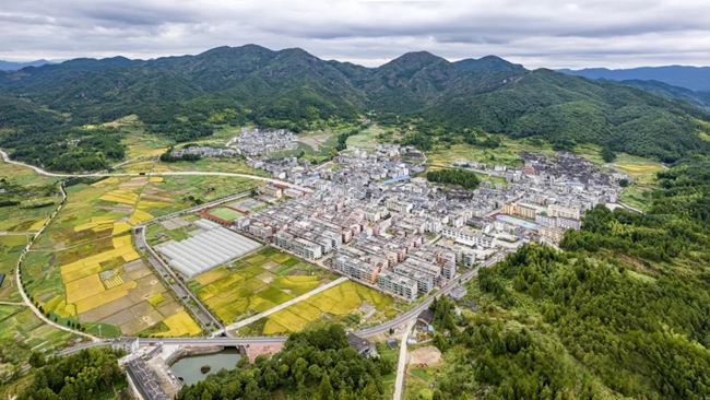 禮門鄉(xiāng)全景。陳兆瑜攝