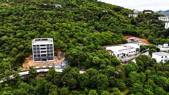 福建省青欖食品有限公司橄欖園。工行福州閩清支行供圖